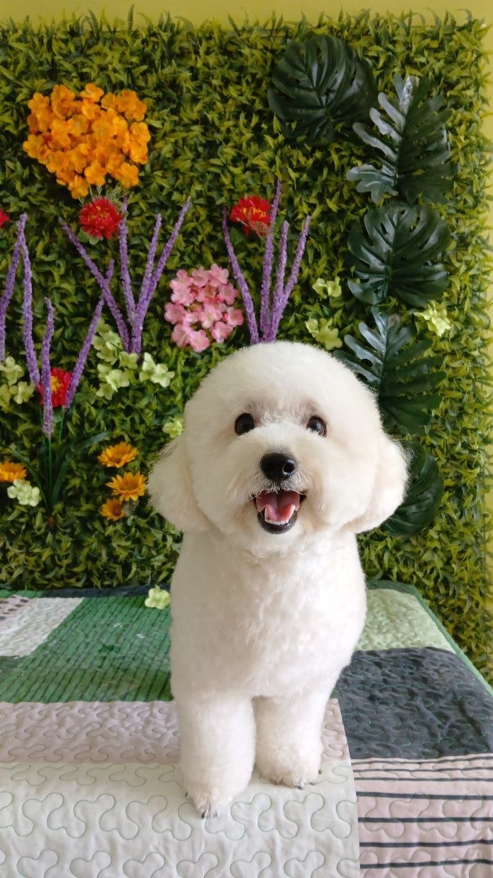 After grooming